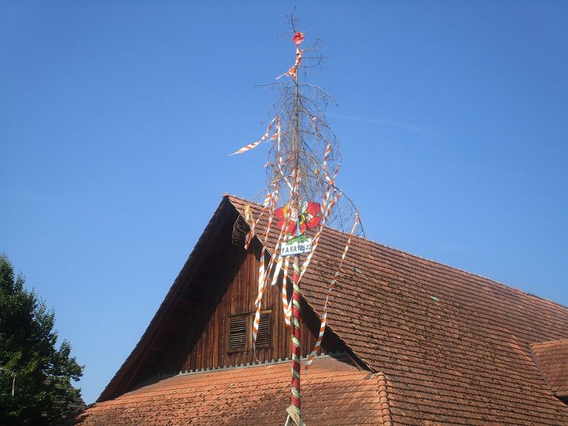 n_Bild (10).jpg