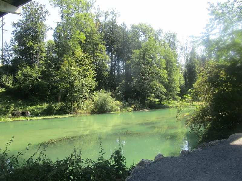 n_Bild (3).jpg
