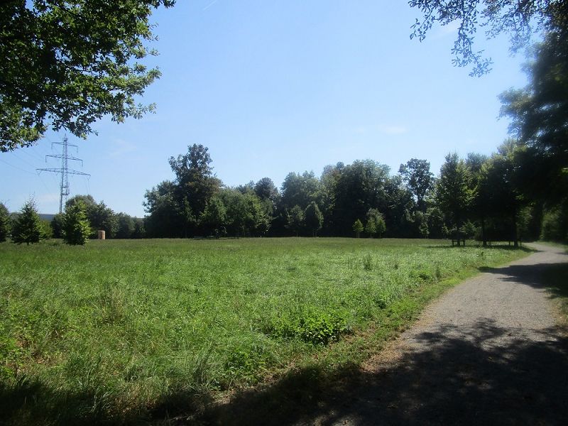 n_Bild (10).jpg