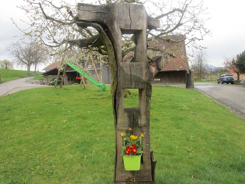 n_Bild (10).jpg