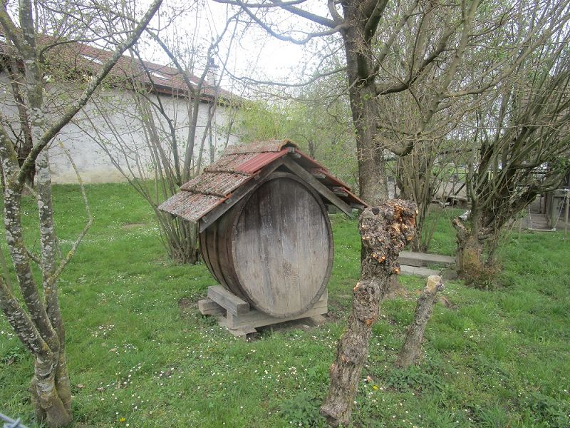 n_Bild (10).jpg