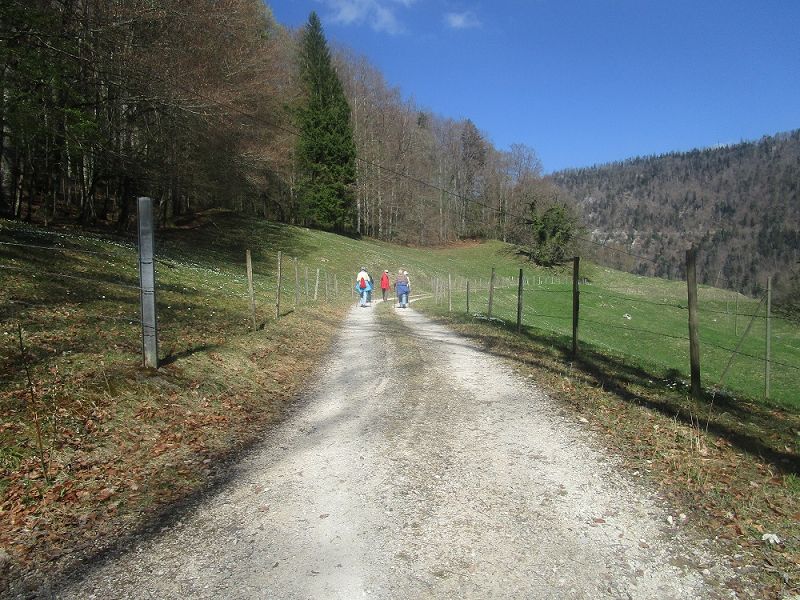 n_Bild (3).jpg