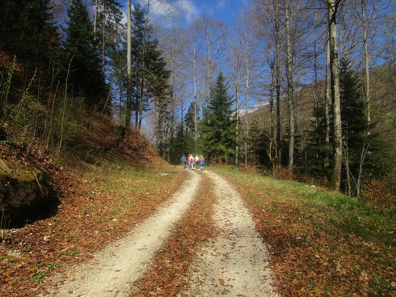 n_Bild (10).jpg