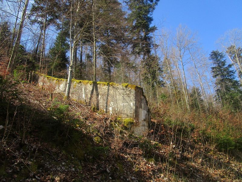 n_Bild (10).jpg