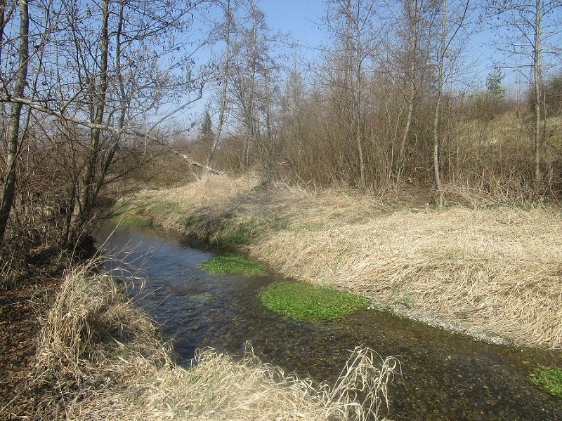 n_Bild (10).jpg