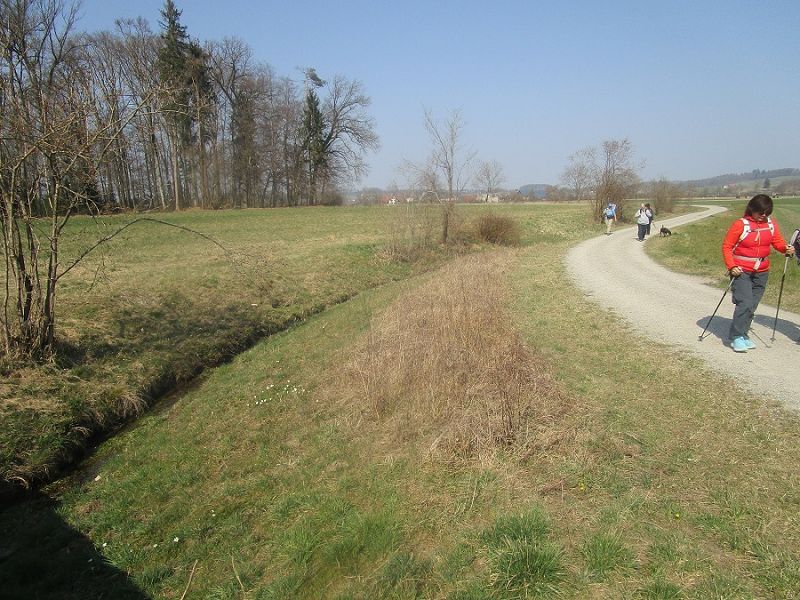 n_Bild (10).jpg