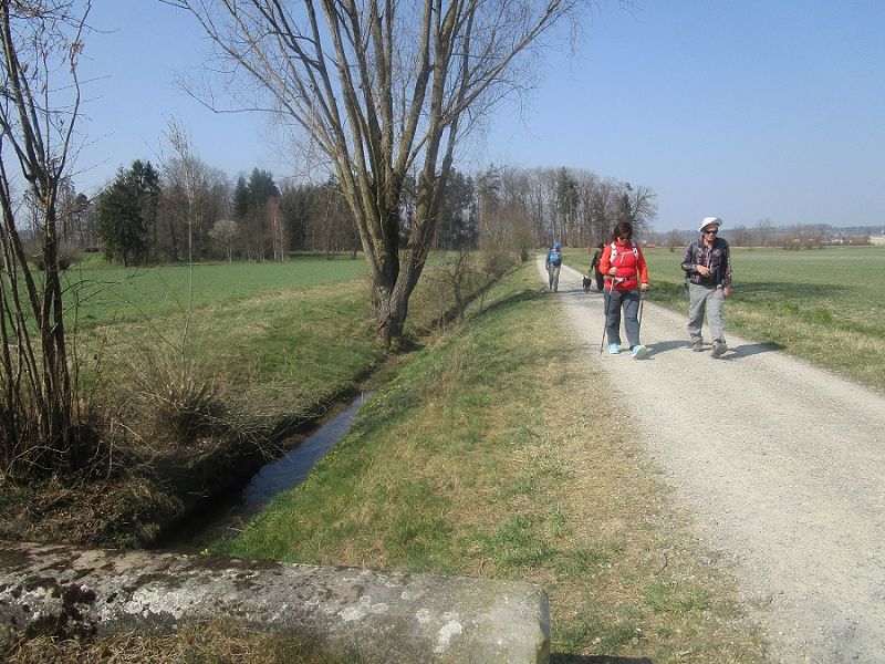 n_Bild (10).jpg