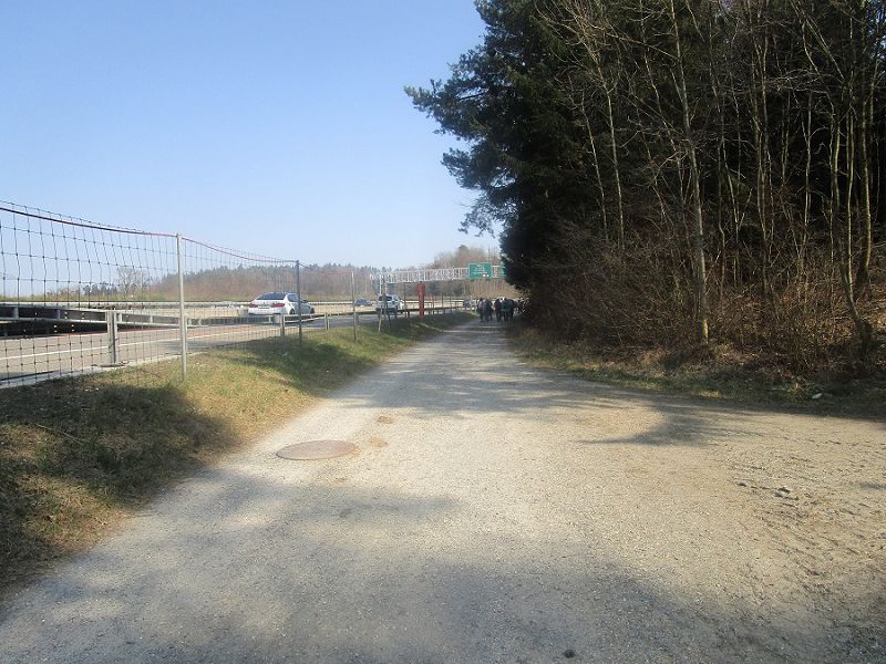 n_Bild (10).jpg