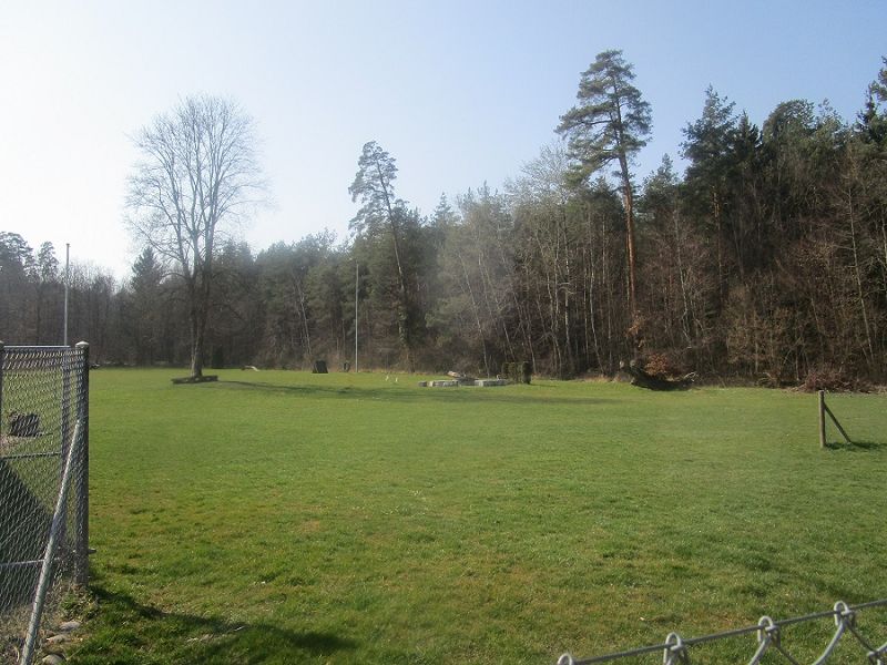 n_Bild (10).jpg