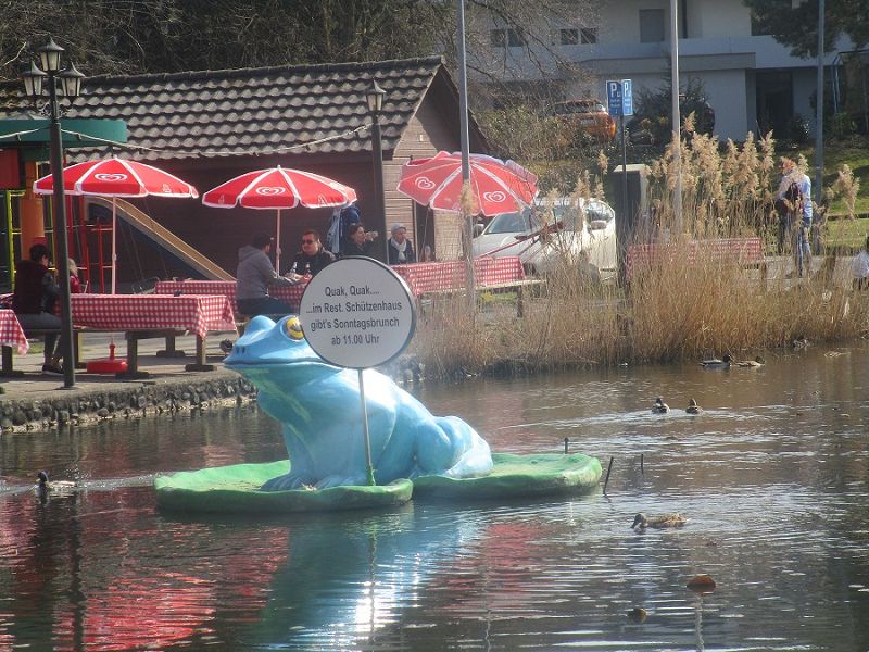 n_Bild (10).jpg