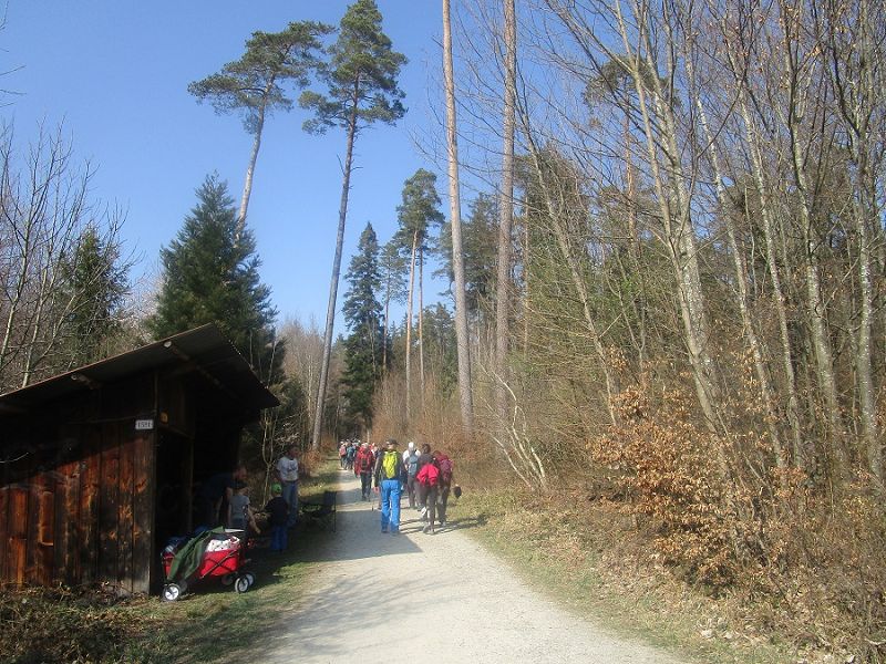 n_Bild (10).jpg