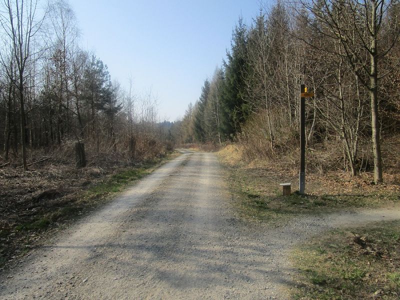 n_Bild (10).jpg