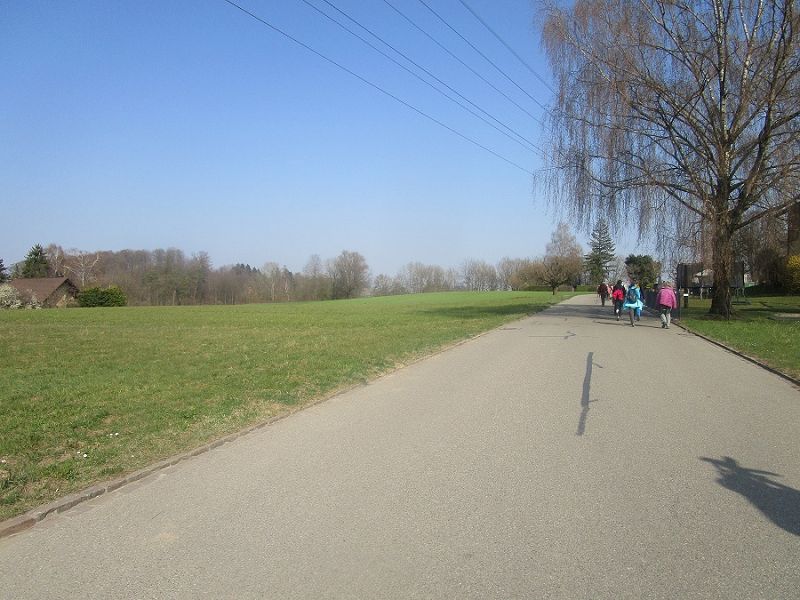 n_Bild (10).jpg