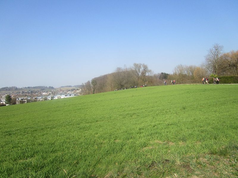 n_Bild (10).jpg