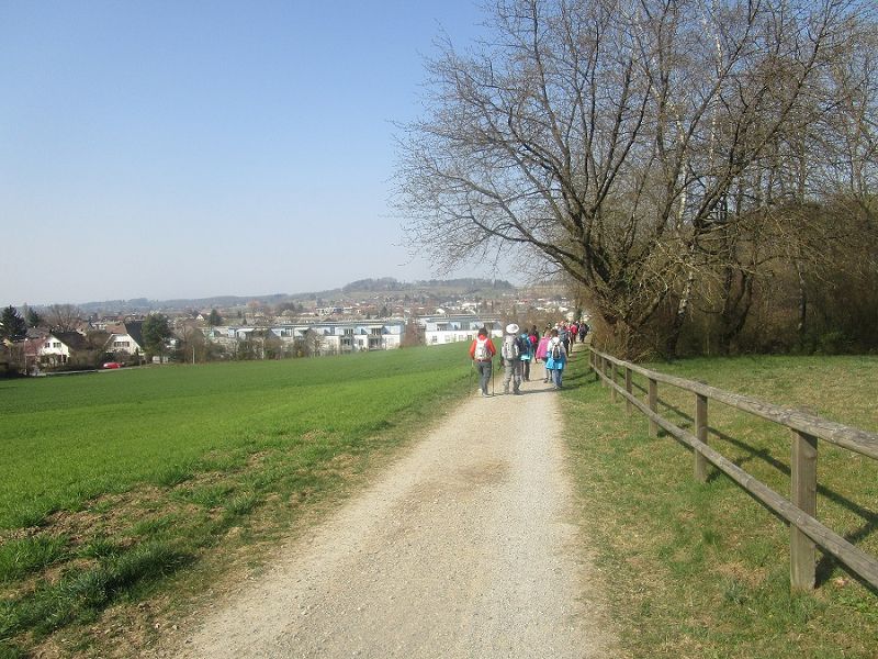 n_Bild (10).jpg