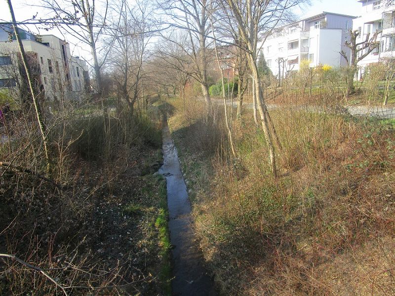 n_Bild (10).jpg