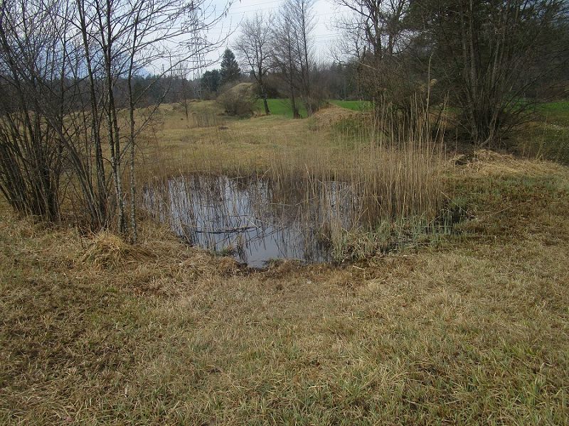 n_Bild (10).jpg
