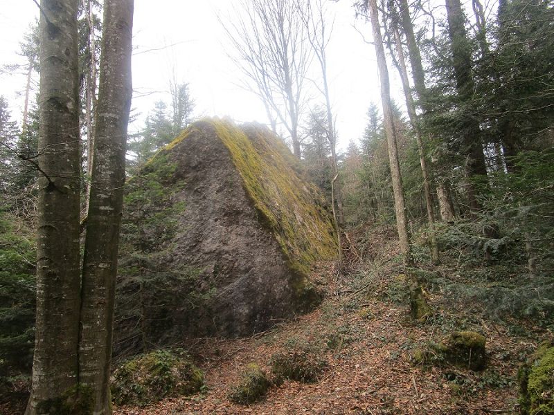 n_Bild (10).jpg