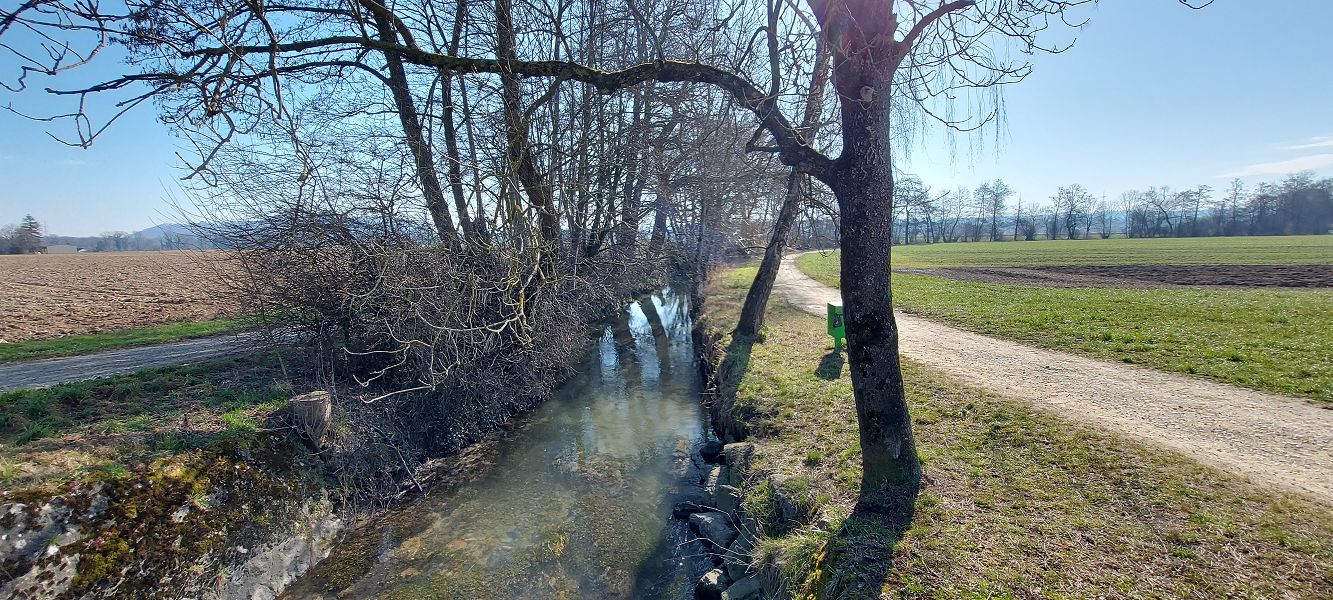 n_Bild (10).jpg