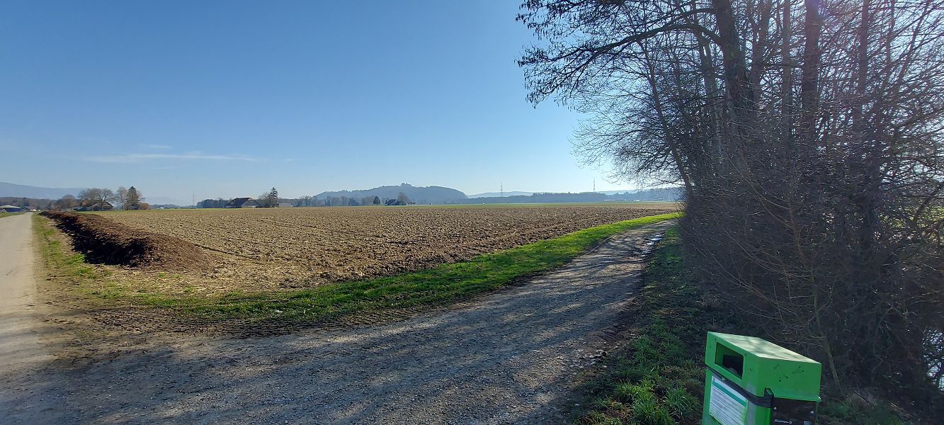n_Bild (10).jpg