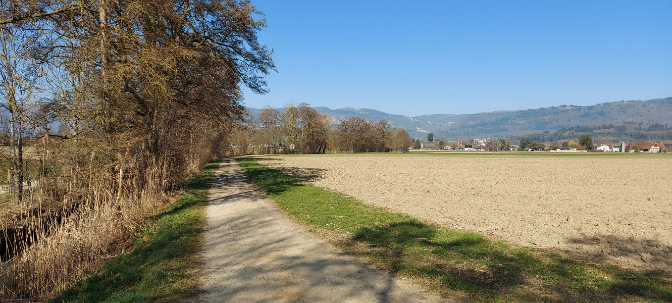 n_Bild (10).jpg