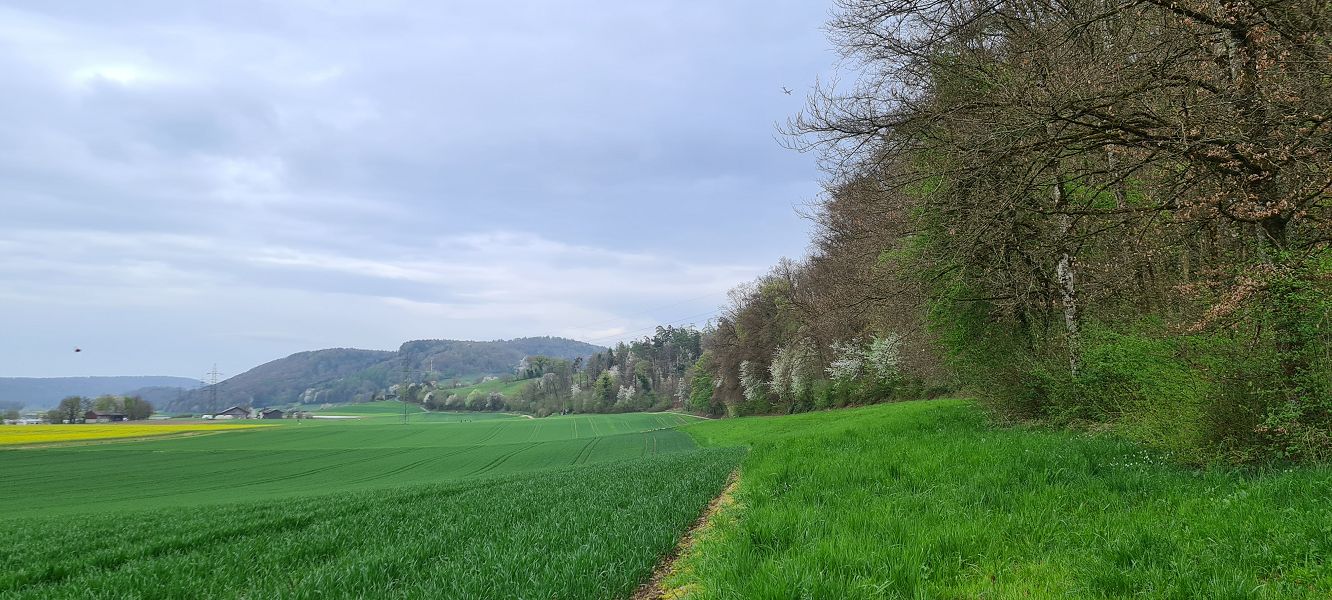 n_Bild (10).jpg