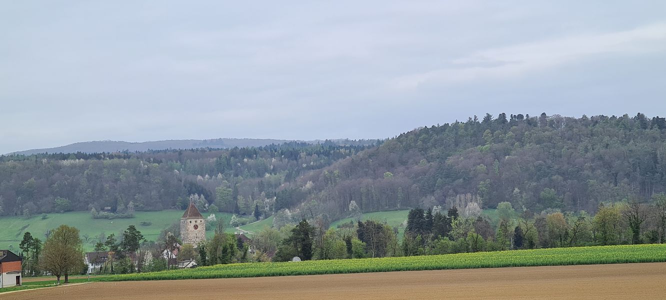 n_Bild (10).jpg