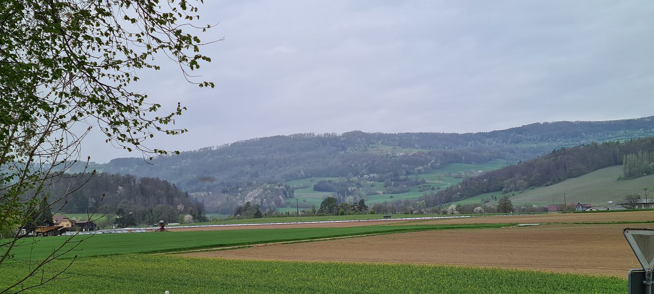 n_Bild (3).jpg