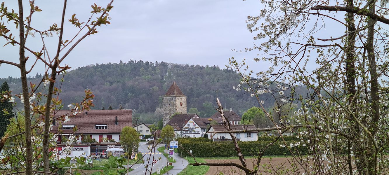 n_Bild (10).jpg