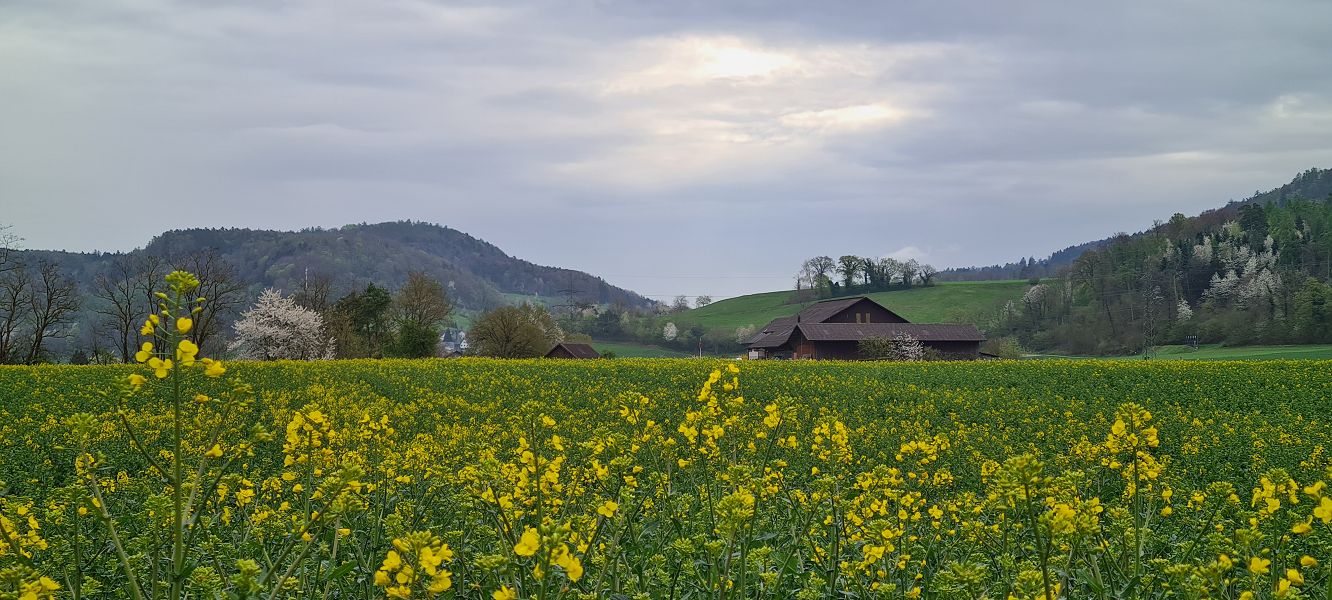 n_Bild (10).jpg