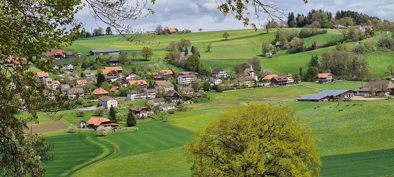 n_Bild (10).jpg